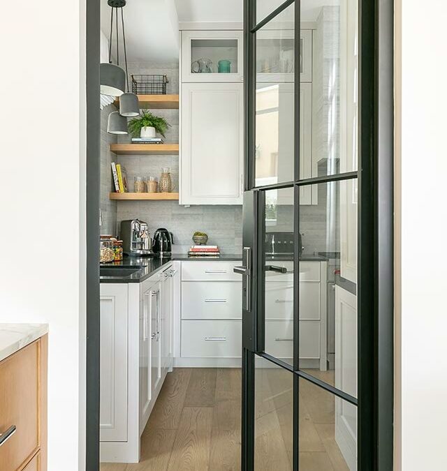 Steel and glass pantry door